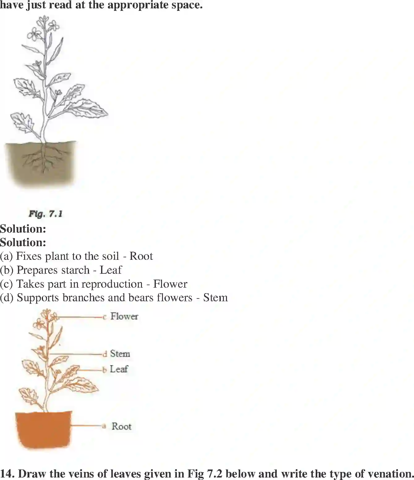 NCERT-Solution-Class-6-Science-Exemplar-Getting-to-Know-Plants-3945-page-5