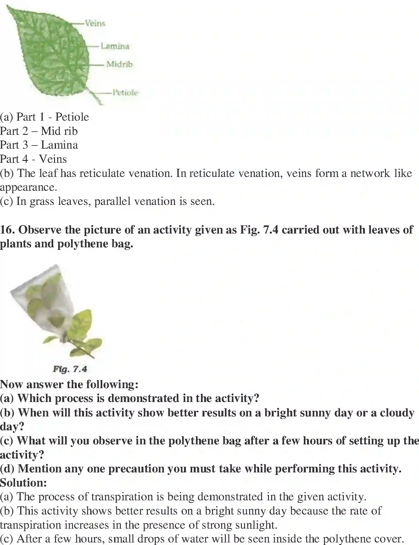 NCERT-Solution-Class-6-Science-Exemplar-Getting-to-Know-Plants-3945-page-7