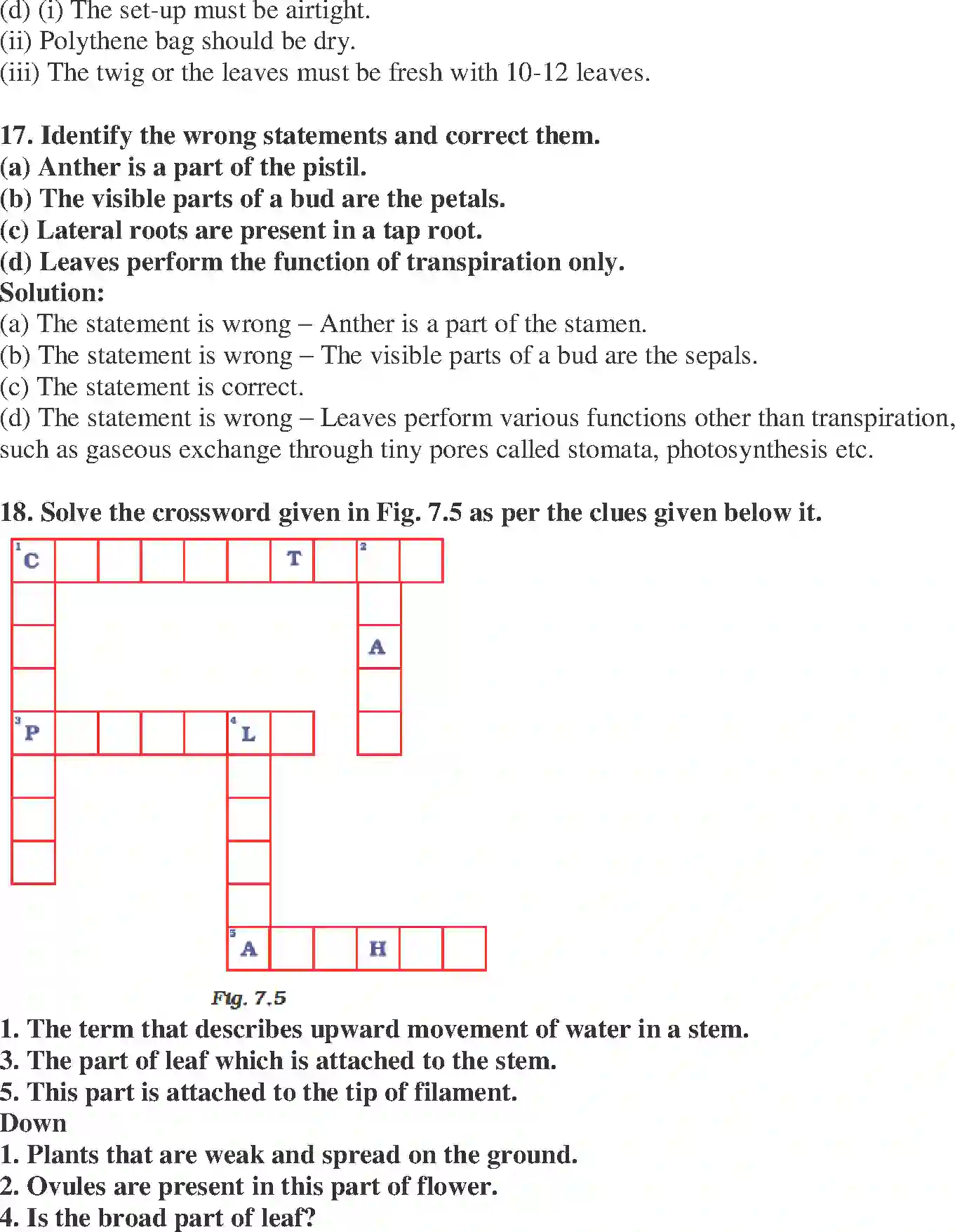 NCERT-Solution-Class-6-Science-Exemplar-Getting-to-Know-Plants-3945-page-8