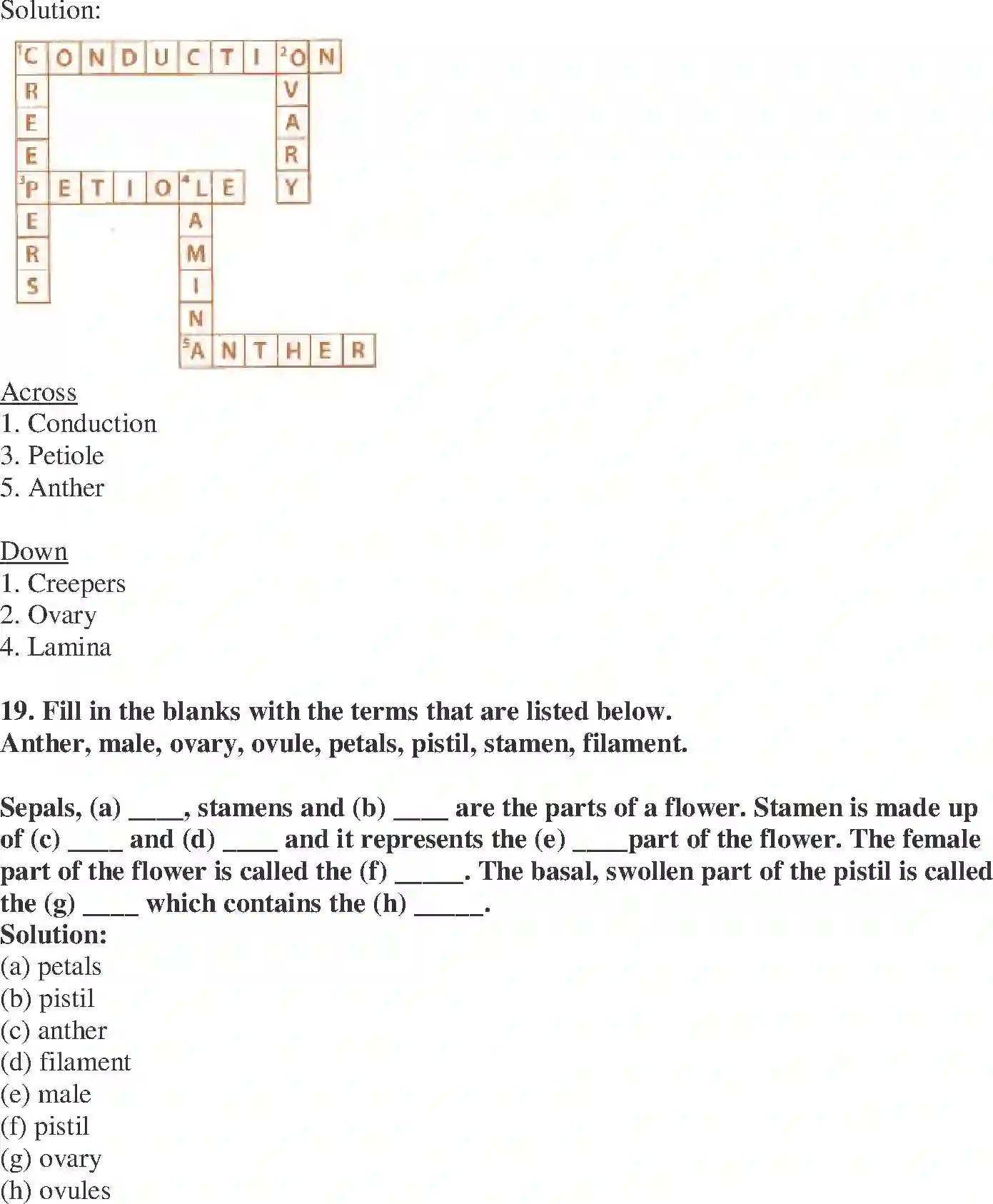 NCERT-Solution-Class-6-Science-Exemplar-Getting-to-Know-Plants-3945-page-9
