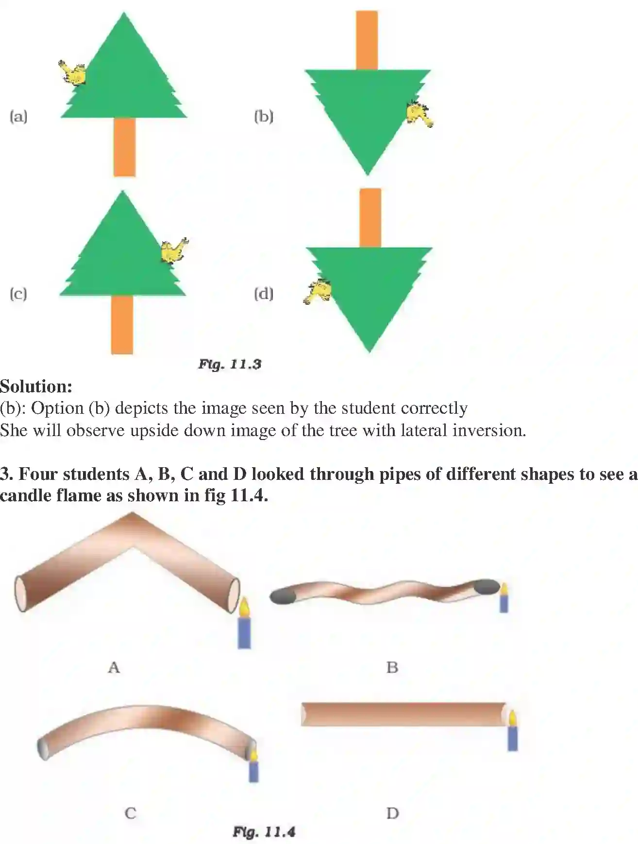 NCERT-Solution-Class-6-Science-Exemplar-Light-1777-page-2