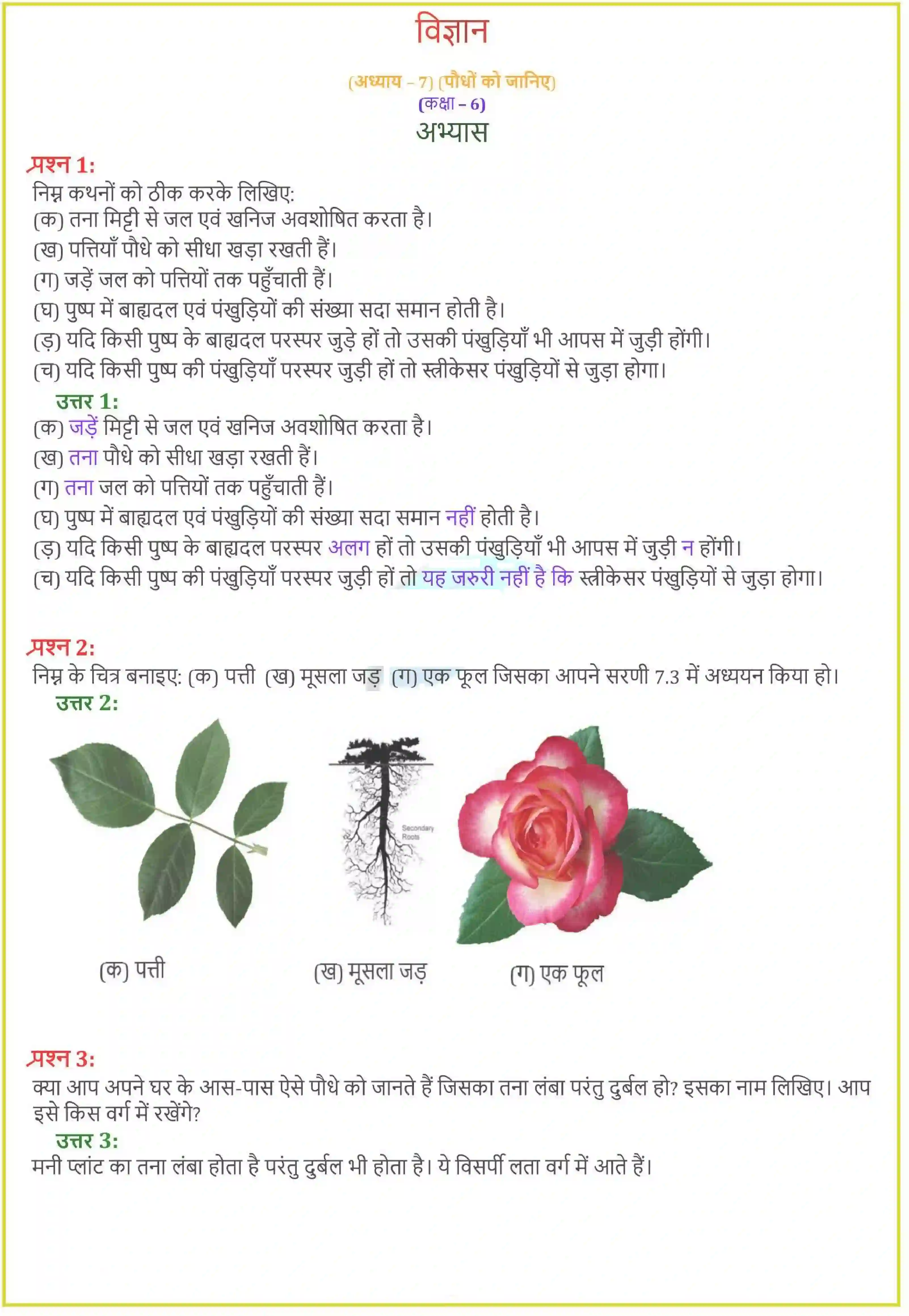 NCERT-Solution-Class-6-विज्ञान-पौधो-को-जानिए-5296-page-1