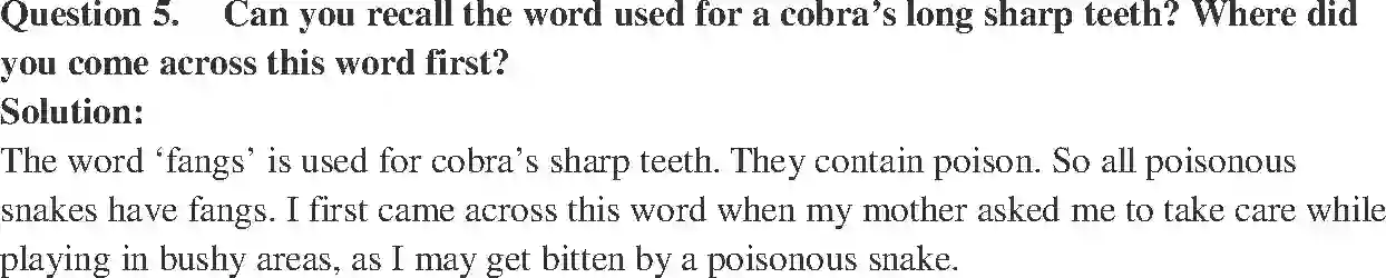 NCERT-Solution-Class-7-English-Honeycomb-Garden-Snake-1524-page-2