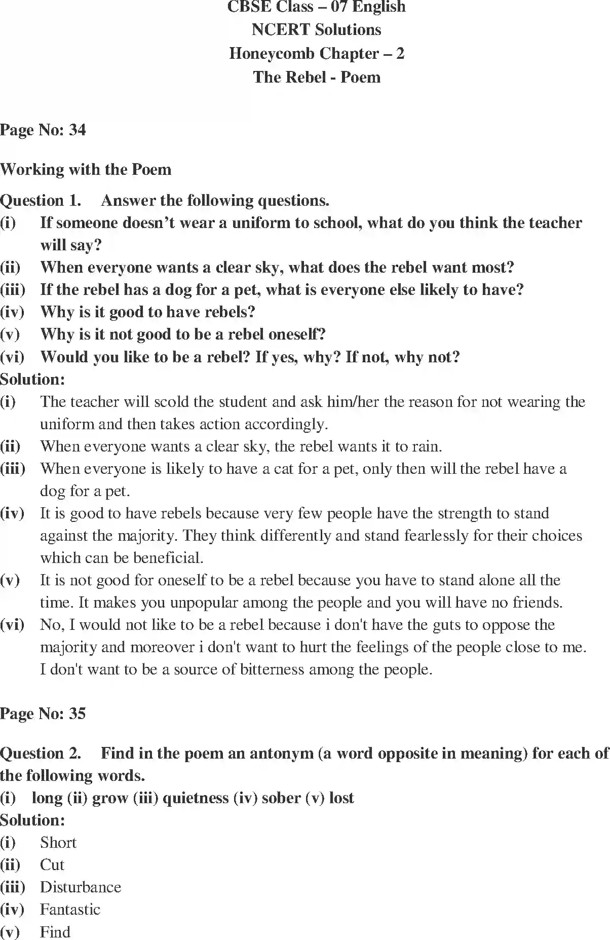NCERT-Solution-Class-7-English-Honeycomb-The-Rebel-3689-page-1