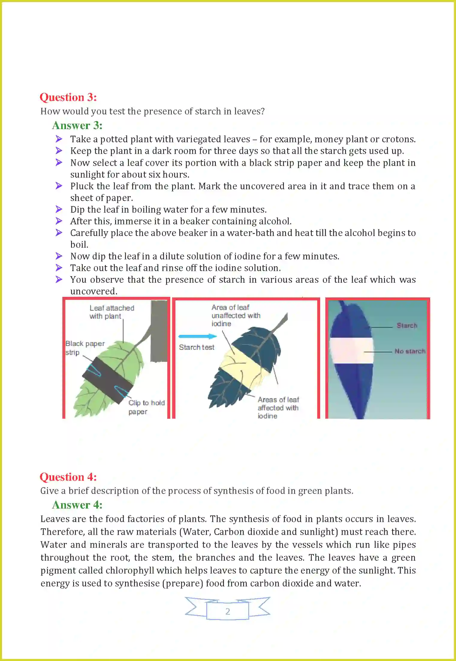 NCERT-Solution-Class-7-Science-Chapter-1-Nutrition-in-Plants-1478-page-2