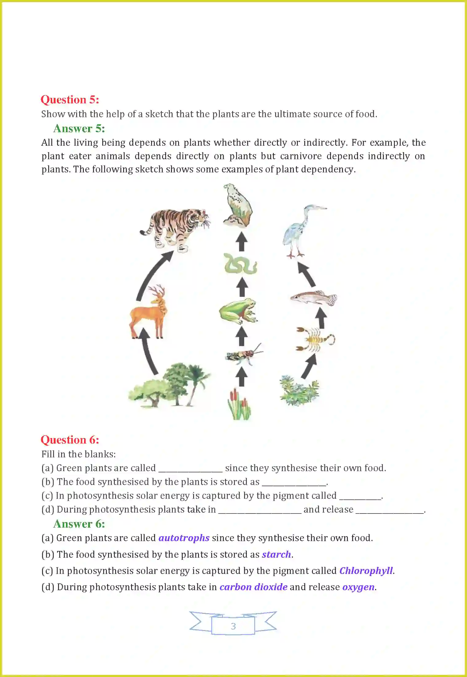 Class 7 Science Chapter 1 Nutrition in Plants Solution