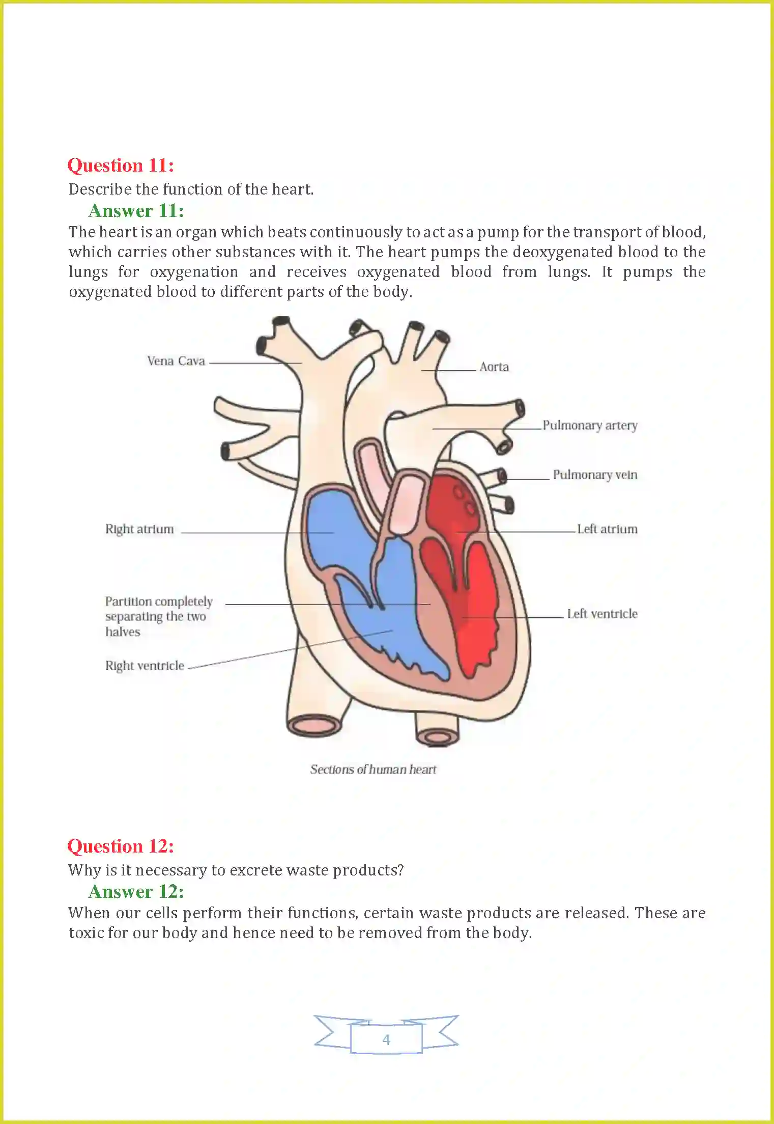 NCERT-Solution-Class-7-Science-Chapter-11-Transportation-in-Animals-and-Plants-3660-page-4