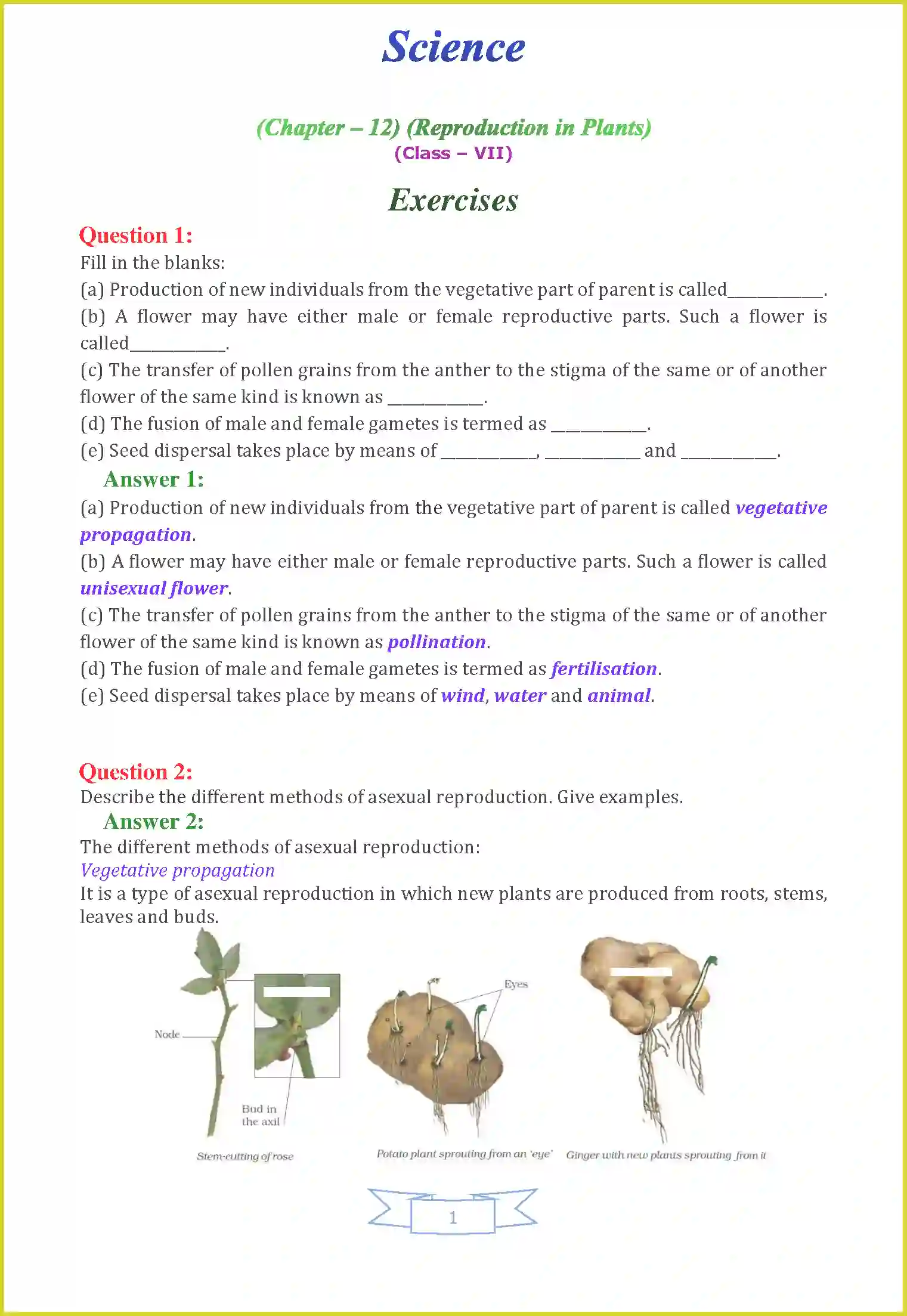 NCERT-Solution-Class-7-Science-Chapter-12-Reproduction-in-Plants-1489-page-1