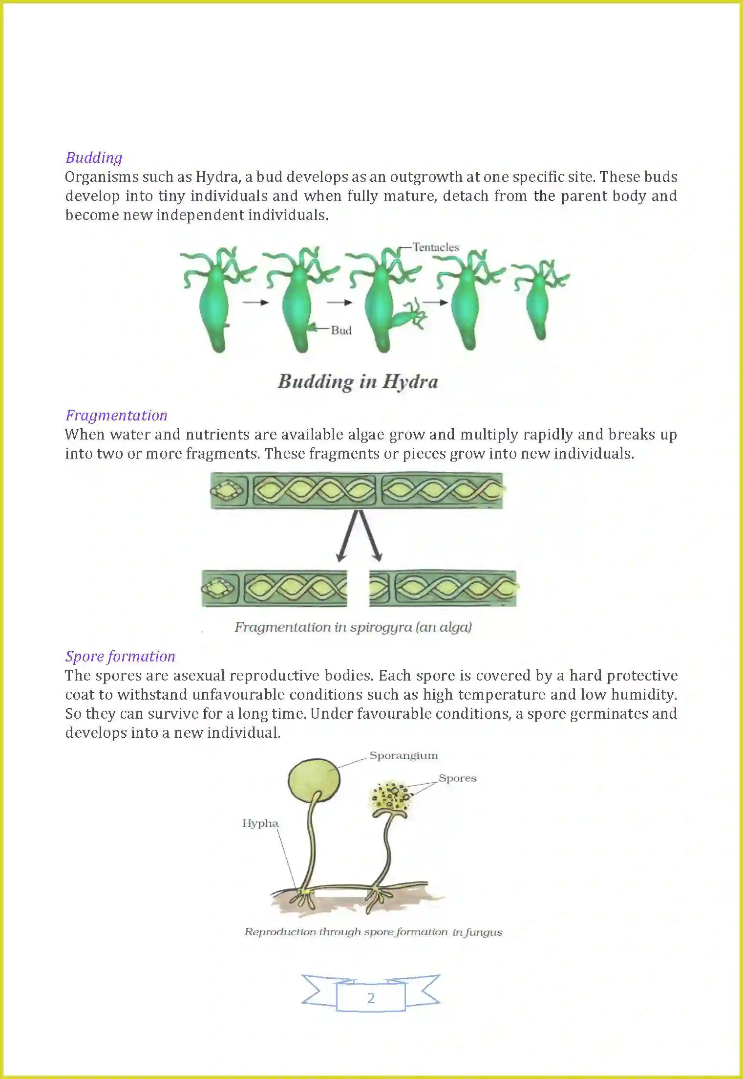 NCERT-Solution-Class-7-Science-Chapter-12-Reproduction-in-Plants-1489-page-2