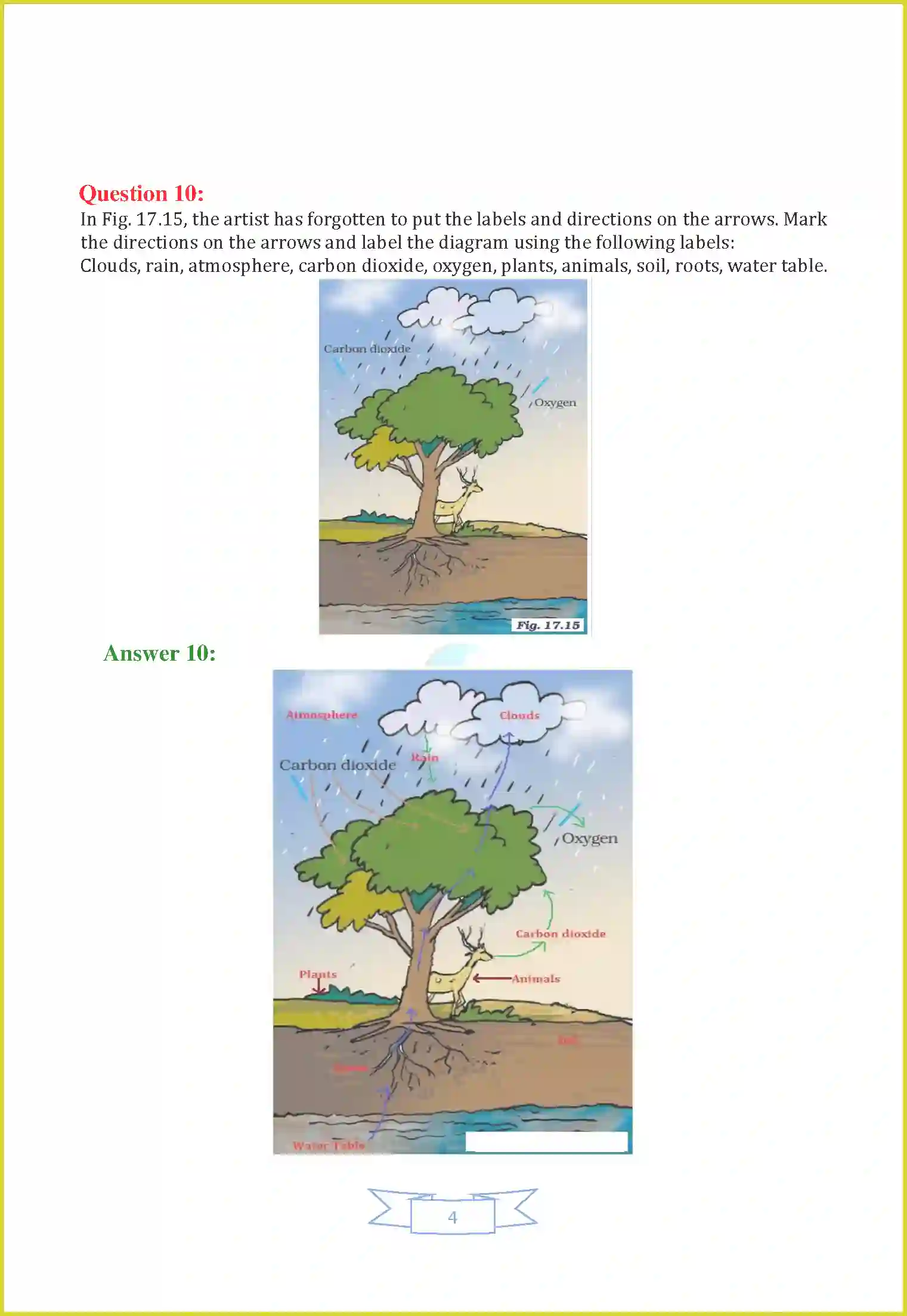 NCERT-Solution-Class-7-Science-Chapter-17-Forests-Our-Lifeline-1494-page-4
