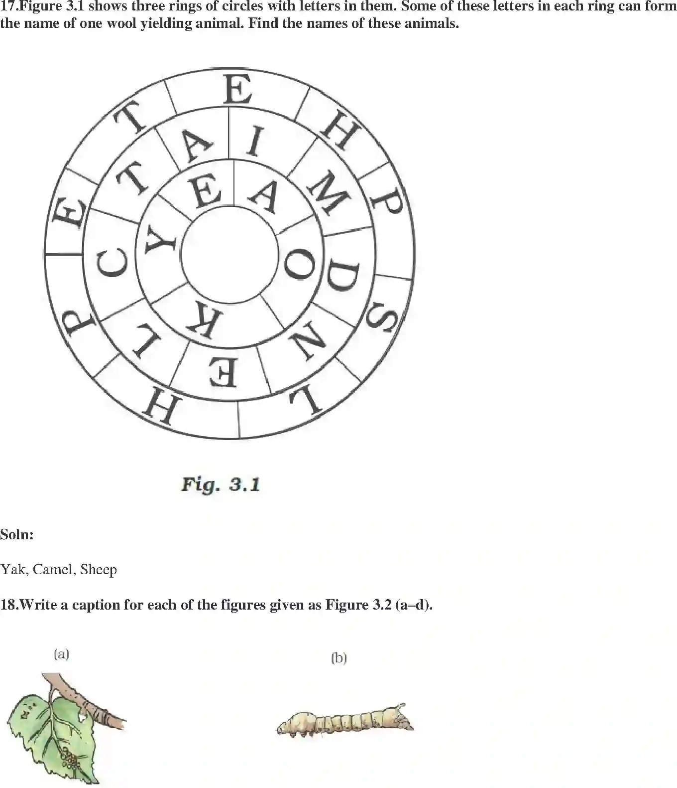 NCERT-Solution-Class-7-Science-Exemplar-Fibre-to-fabric-Exemplar-3775-page-6