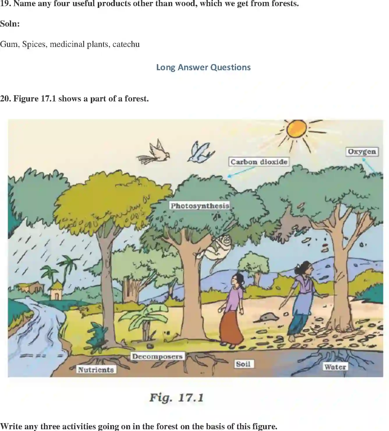 NCERT-Solution-Class-7-Science-Exemplar-Forests-Our-Lifeline-Exemplar-1617-page-6