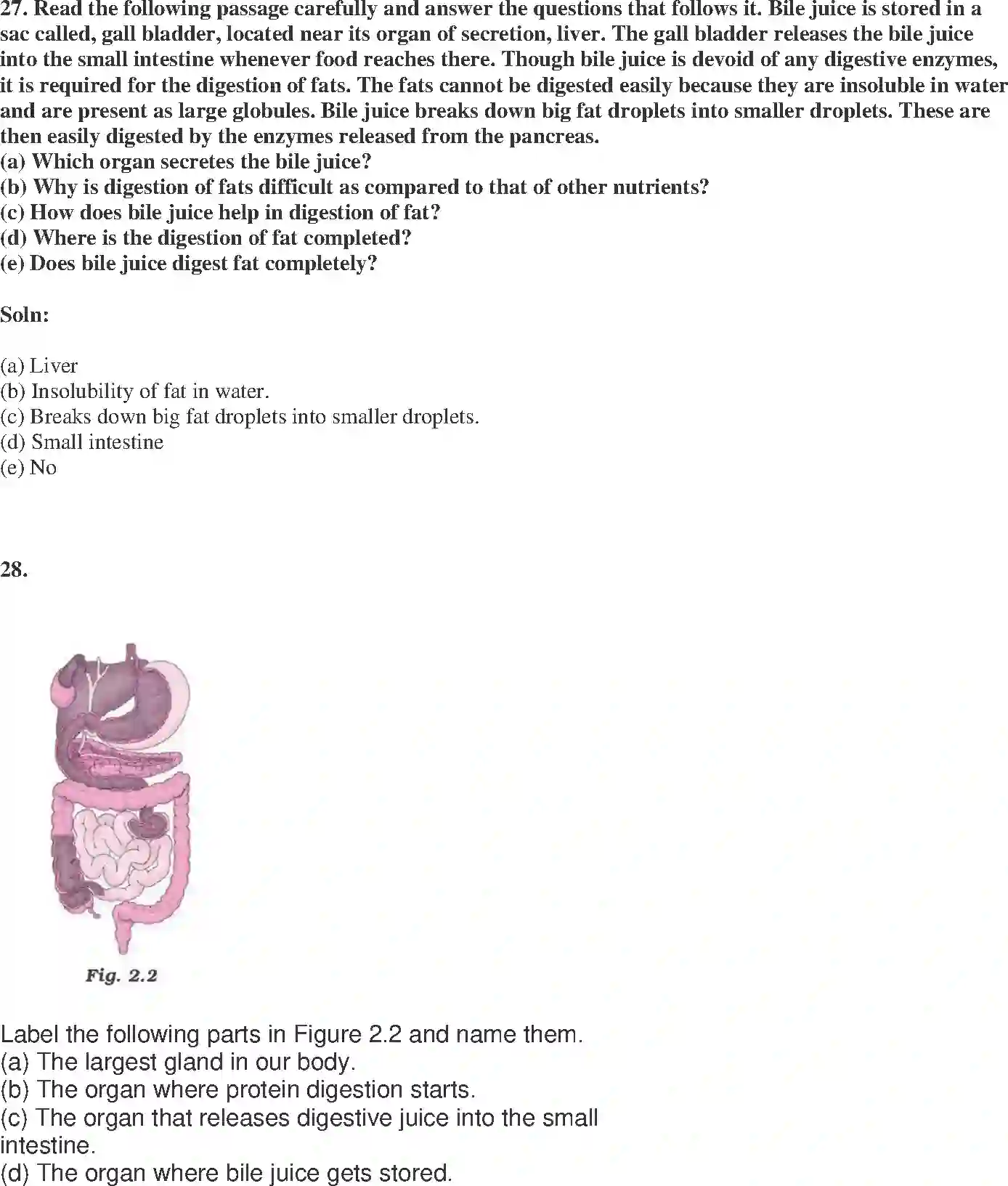 NCERT-Solution-Class-7-Science-Exemplar-Nutrition-in-Animals-Exemplar-3774-page-11