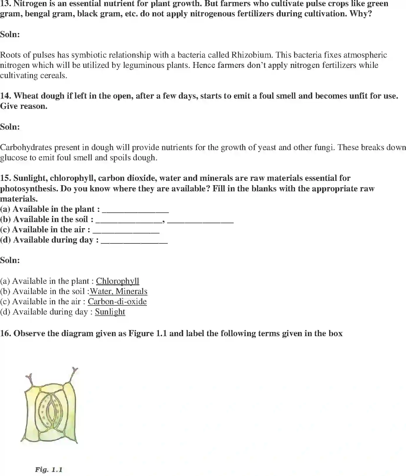 NCERT-Solution-Class-7-Science-Exemplar-Nutrition-in-Plants-Exemplar-1601-page-5
