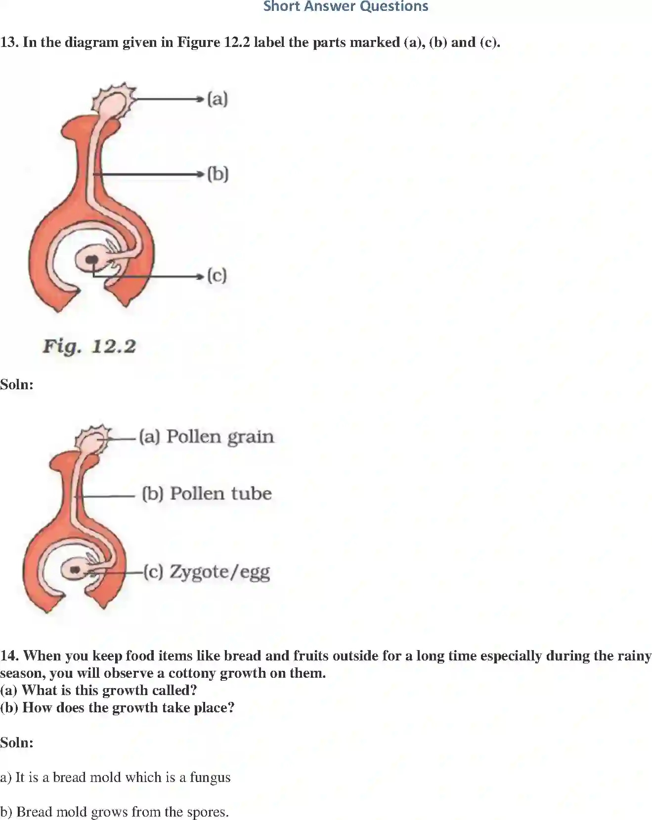 NCERT-Solution-Class-7-Science-Exemplar-Reproduction-in-Plants-Exemplar-1612-page-5