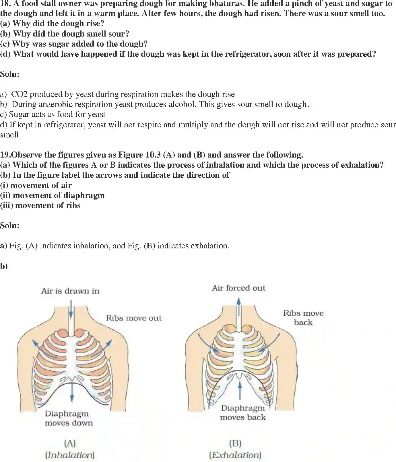 NCERT-Solution-Class-7-Science-Exemplar-Respiration-in-Organisms-Exemplar-1610-page-7