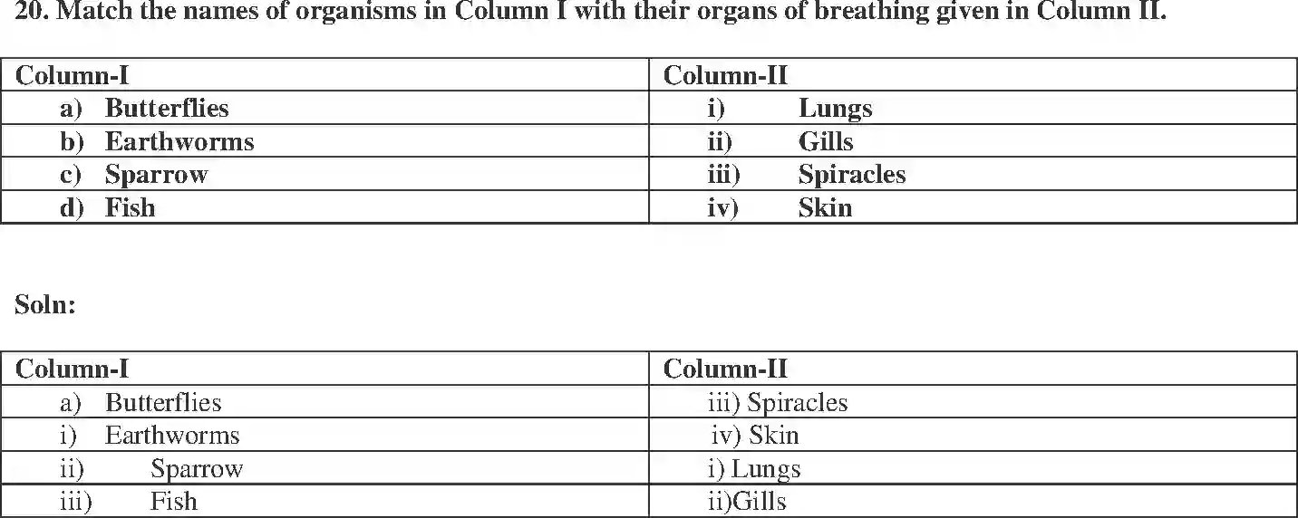 NCERT-Solution-Class-7-Science-Exemplar-Respiration-in-Organisms-Exemplar-1610-page-8