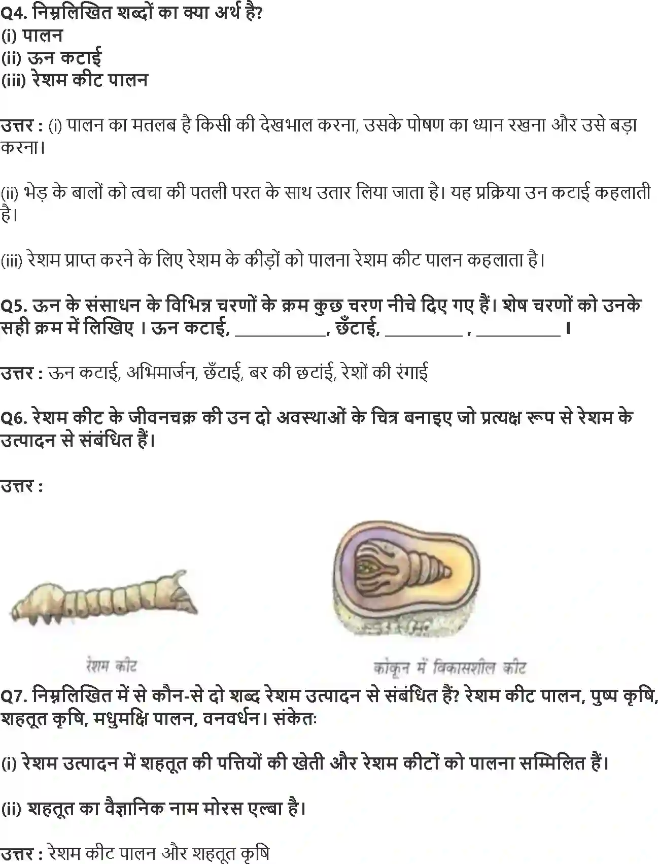 NCERT-Solution-Class-7-विज्ञान-तन्तु-से-वस्त्र-तक-5169-page-2