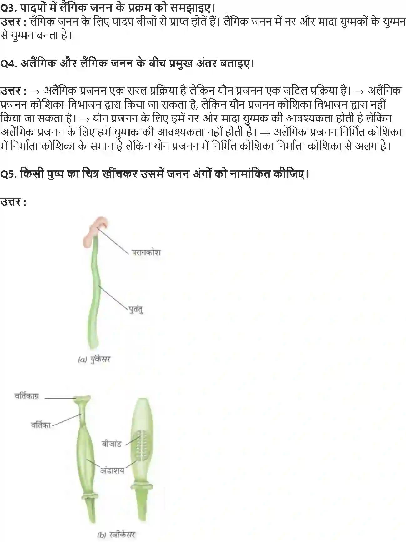 NCERT-Solution-Class-7-विज्ञान-पादप-में-जनन-5178-page-2