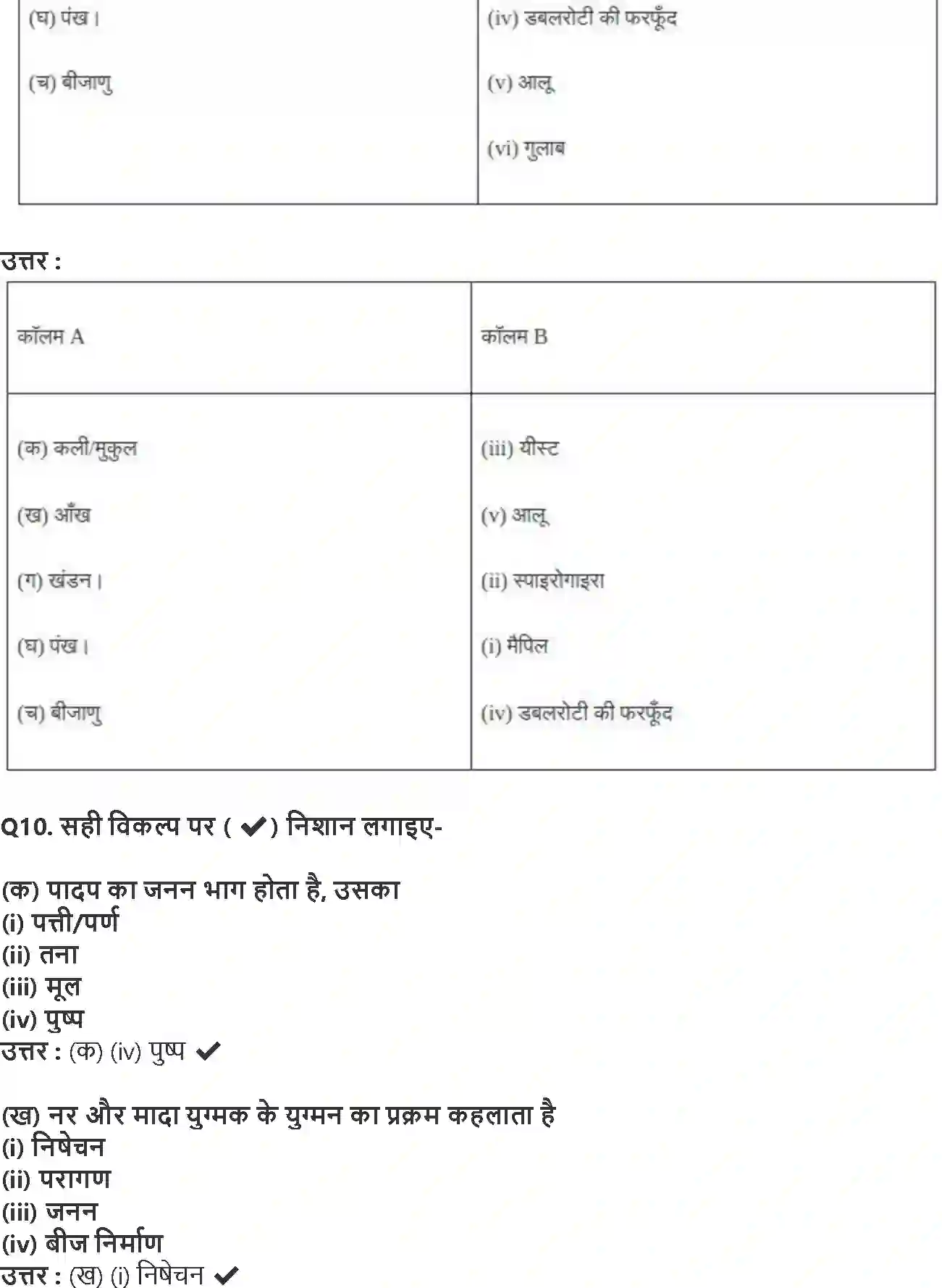 NCERT-Solution-Class-7-विज्ञान-पादप-में-जनन-5178-page-4