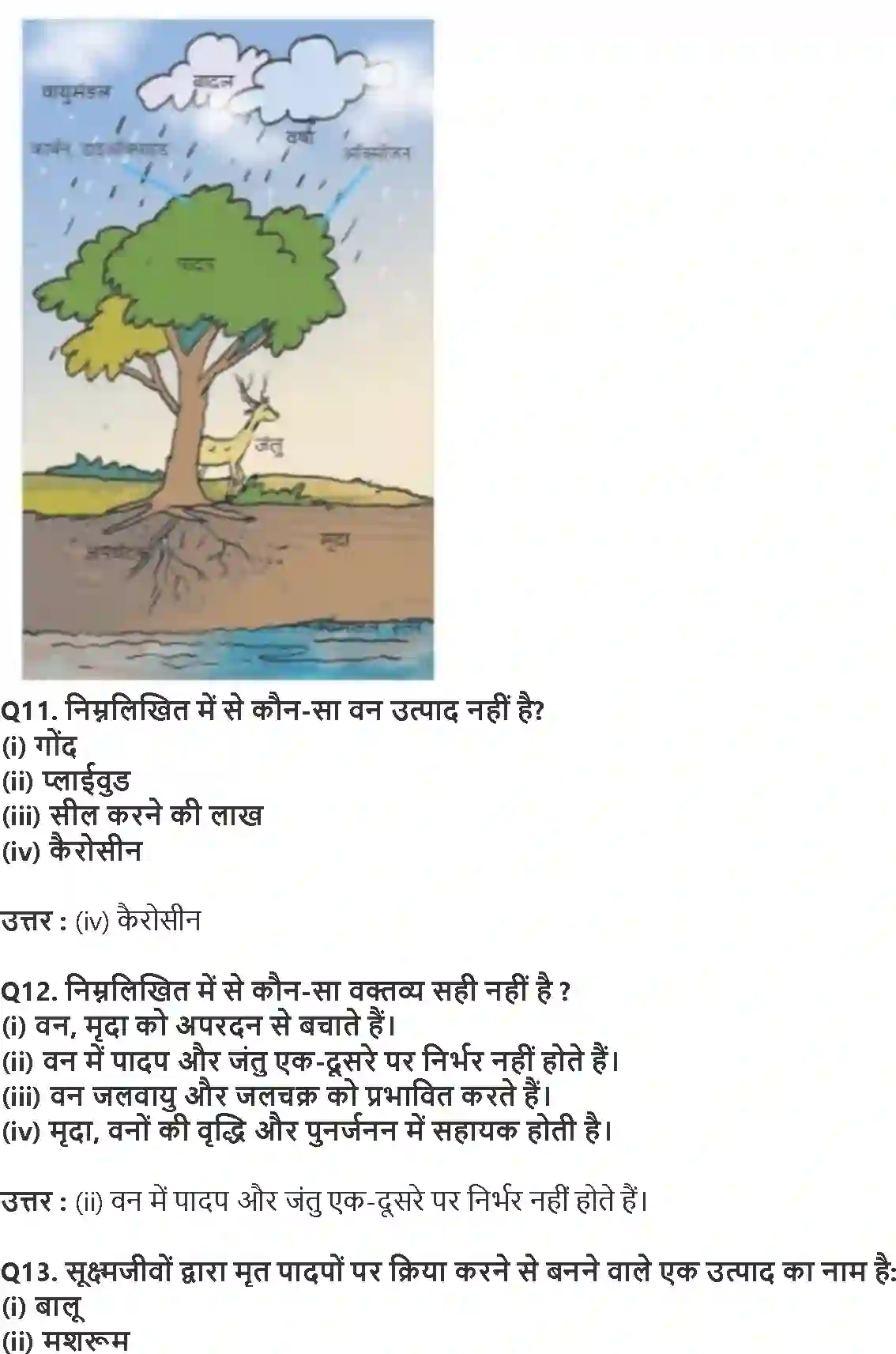 NCERT-Solution-Class-7-विज्ञान-वन-हमारी-जीवन-रेखा-5183-page-4
