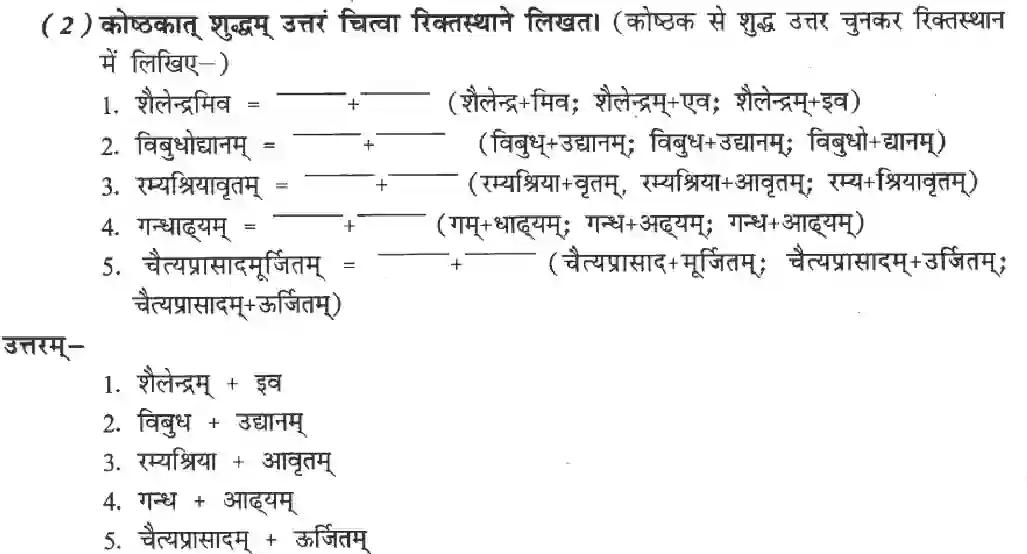 NCERT-Solution-Class-8-Sanskrit-Ruchira-Chapter-10-Ashokavanika-1412-page-5