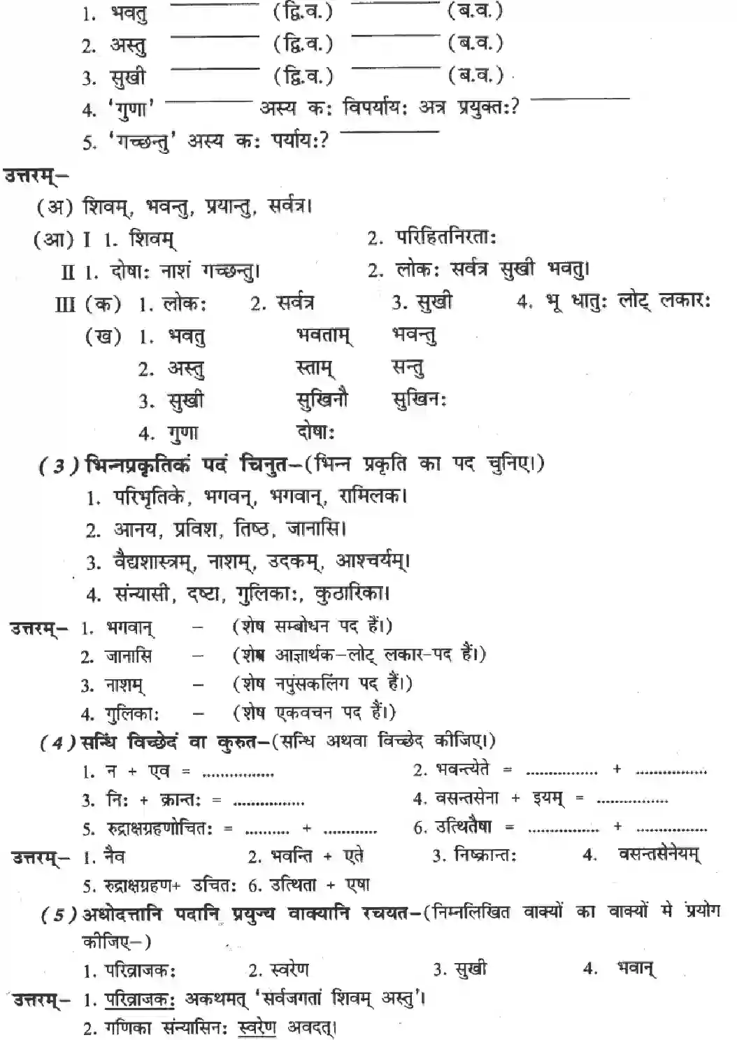 NCERT-Solution-Class-8-Sanskrit-Ruchira-Chapter-3-Bhagavadjjukam-1405-page-4