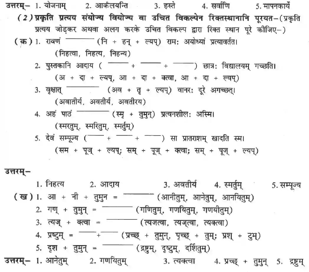 NCERT-Solution-Class-8-Sanskrit-Ruchira-Chapter-8-Sansaarasaagarasy-Naayakaah-1408-page-5
