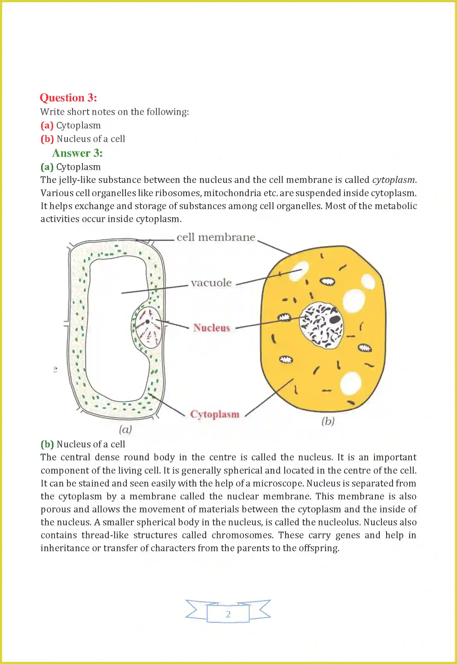 NCERT-Solution-Class-8-Science-Chapter-8-Cell--Structure-and-Functions-3468-page-2