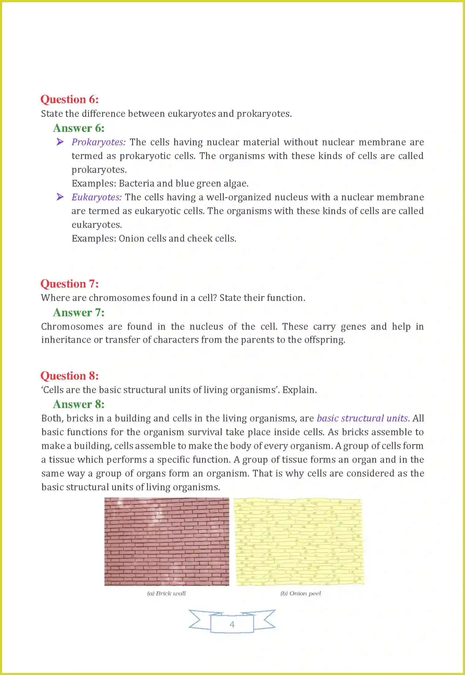NCERT-Solution-Class-8-Science-Chapter-8-Cell--Structure-and-Functions-3468-page-4