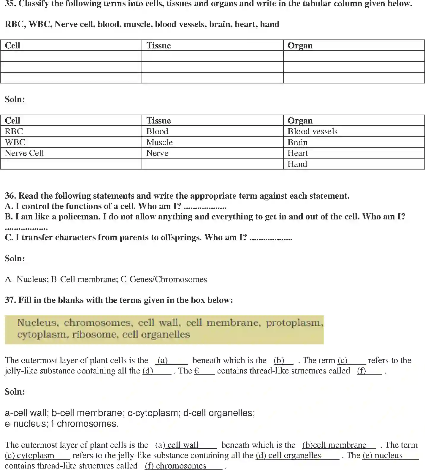 NCERT-Solution-Class-8-Science-Exemplar-Cell-Structure-and-Functions-Exemplar-1452-page-12