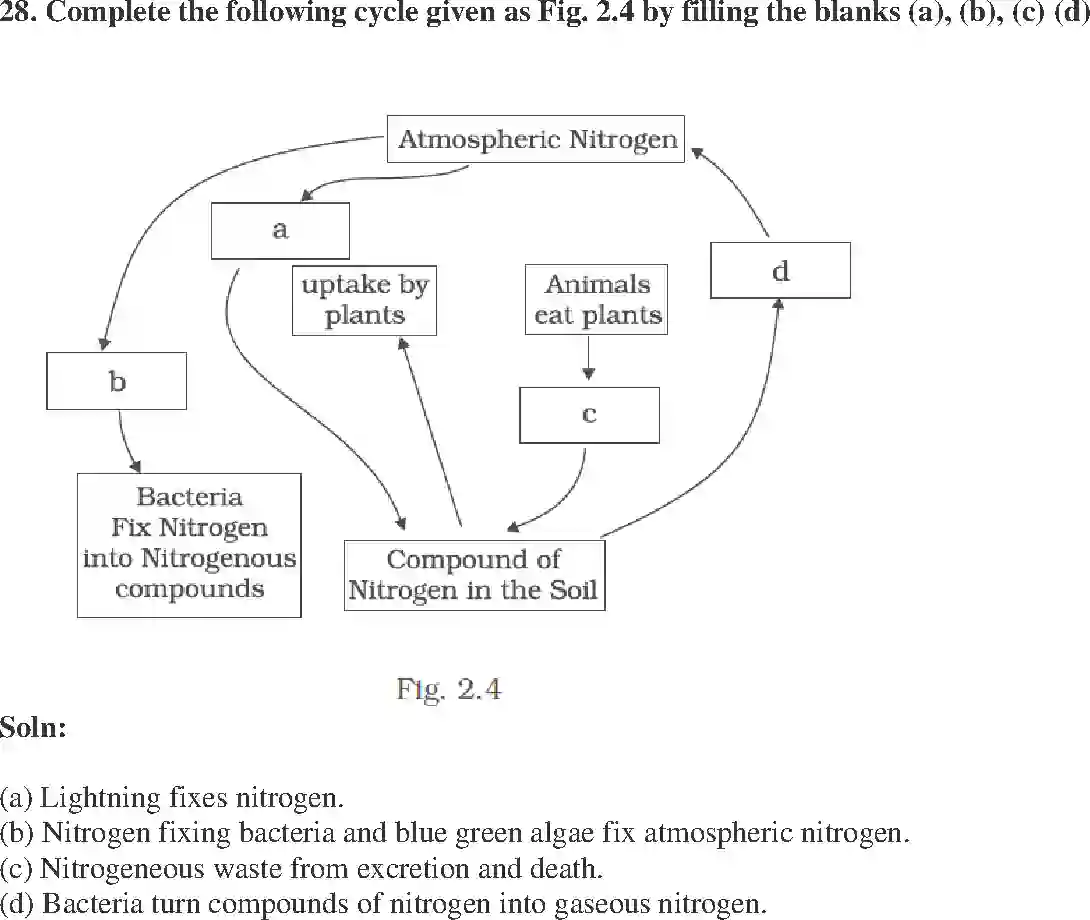 NCERT-Solution-Class-8-Science-Exemplar-Microorganisms-Friend-and-Foe-Exemplar-1446-page-11