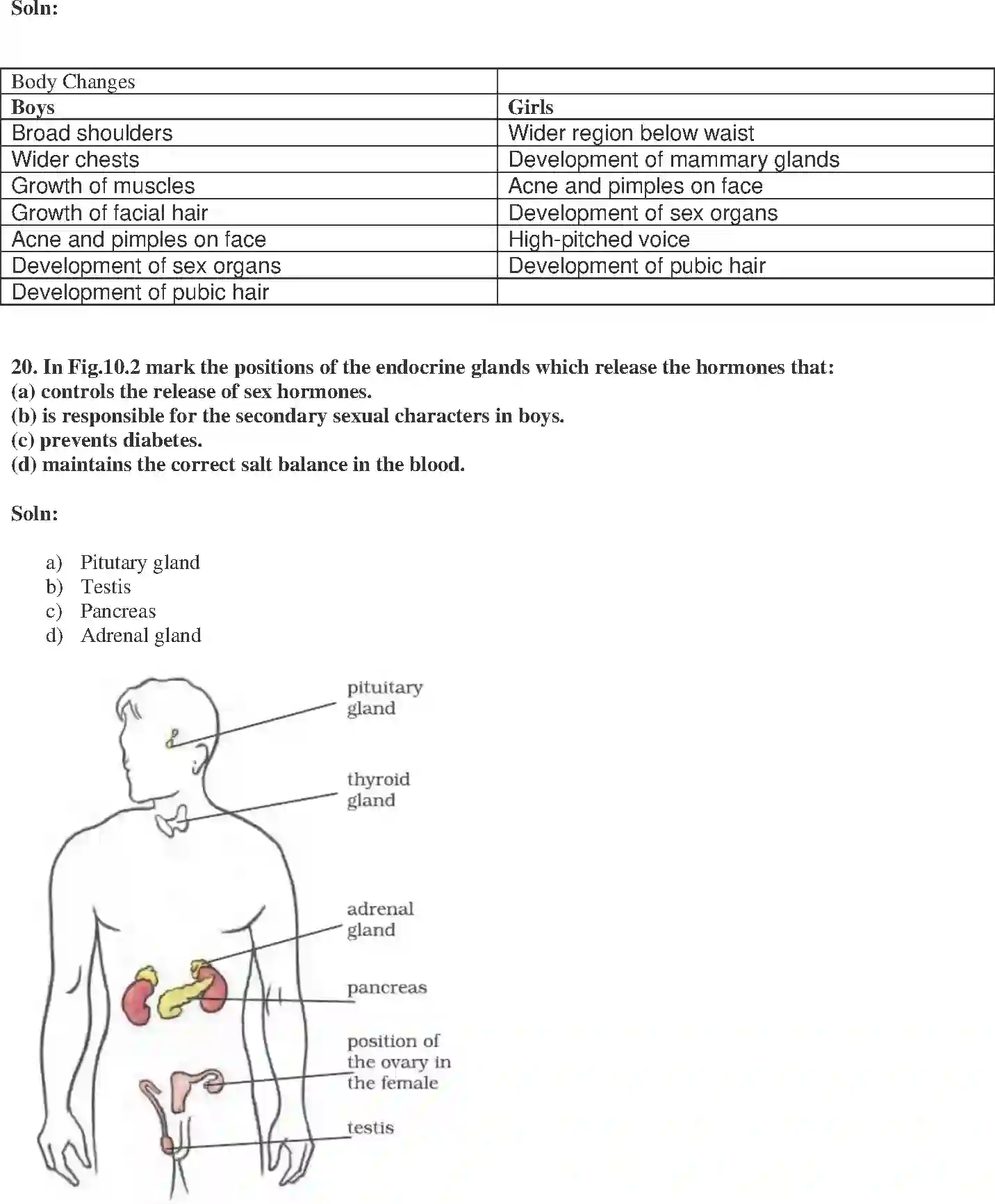NCERT-Solution-Class-8-Science-Exemplar-Reaching-the-Age-of-Adolescence-Exemplar-1454-page-8