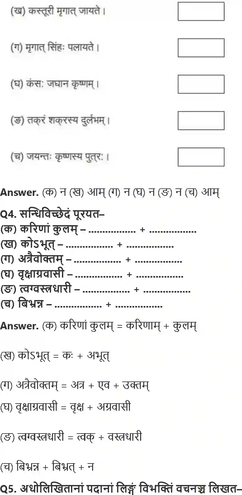 NCERT-Solution-Class-8-रुचिरा-प्रहेलिकाः-5029-page-2