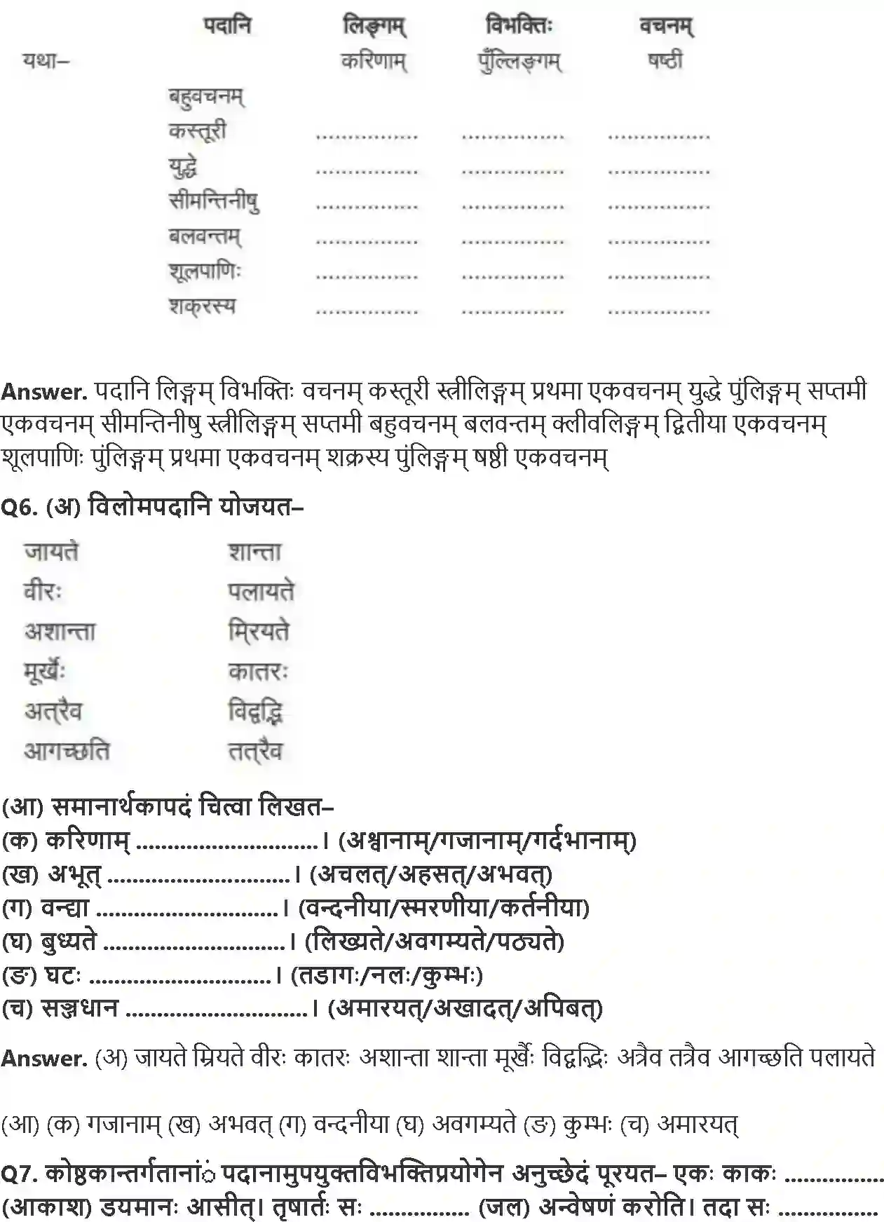 NCERT-Solution-Class-8-रुचिरा-प्रहेलिकाः-5029-page-3