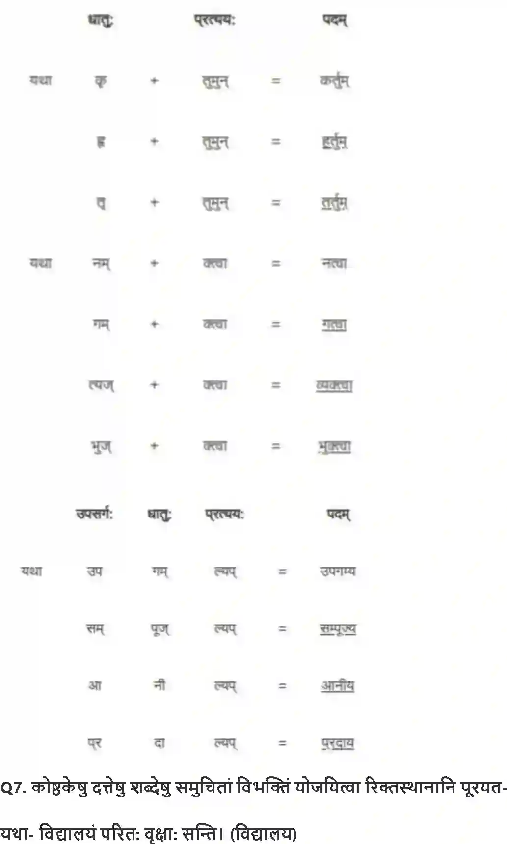 NCERT-Solution-Class-8-रुचिरा-संसारसागरस्य-नायकाः-5022-page-5