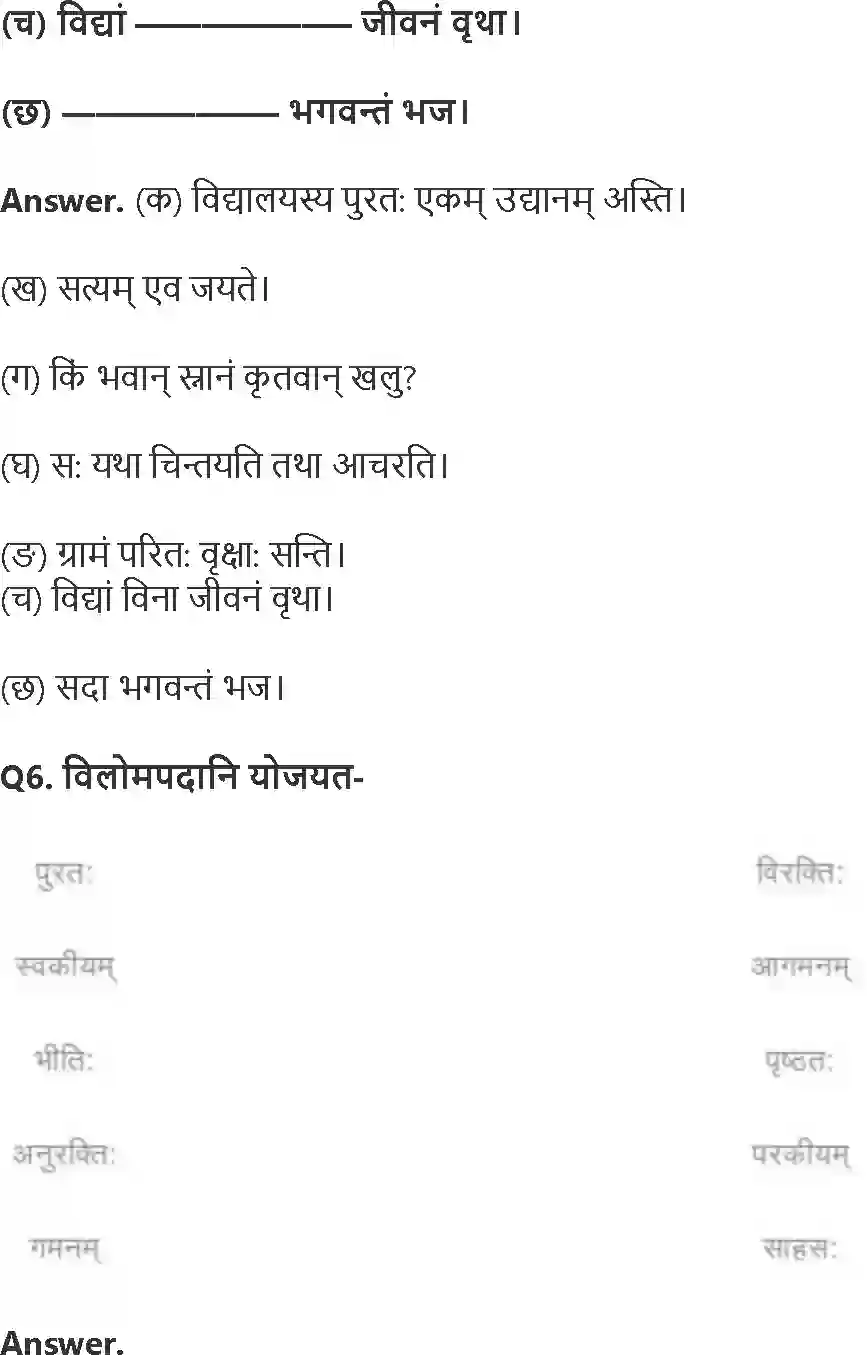 NCERT-Solution-Class-8-रुचिरा-सदैव-पुरतो-निधेहि-चरणम्-5018-page-4