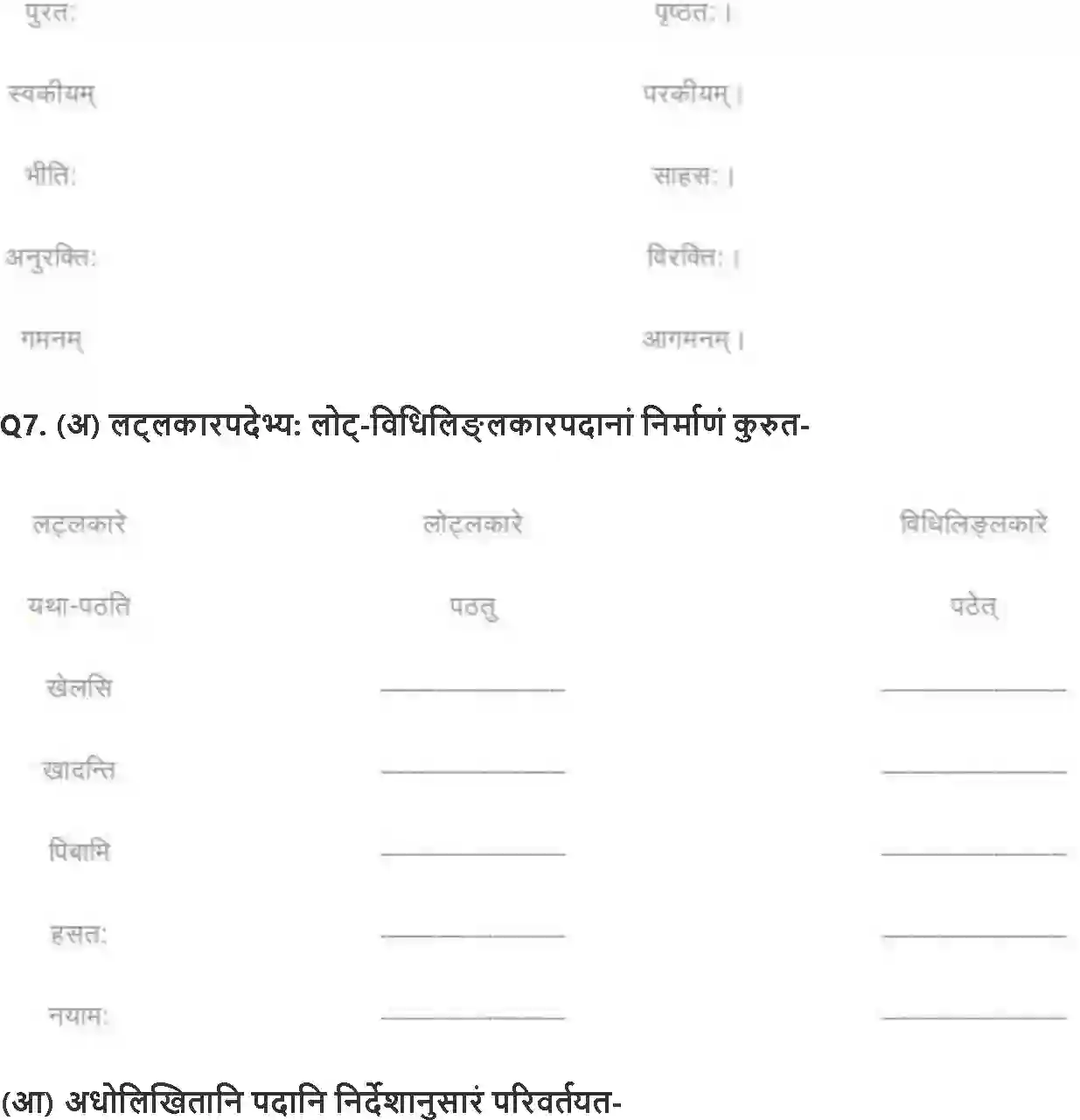 NCERT-Solution-Class-8-रुचिरा-सदैव-पुरतो-निधेहि-चरणम्-5018-page-5
