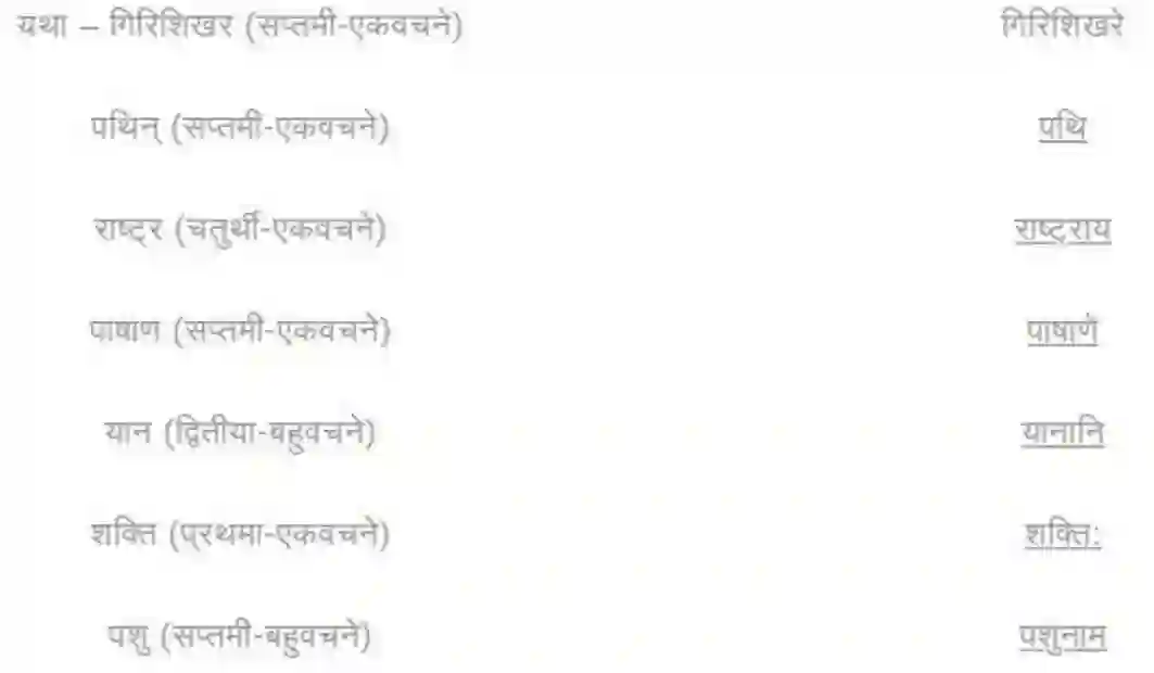 NCERT-Solution-Class-8-रुचिरा-सदैव-पुरतो-निधेहि-चरणम्-5018-page-7