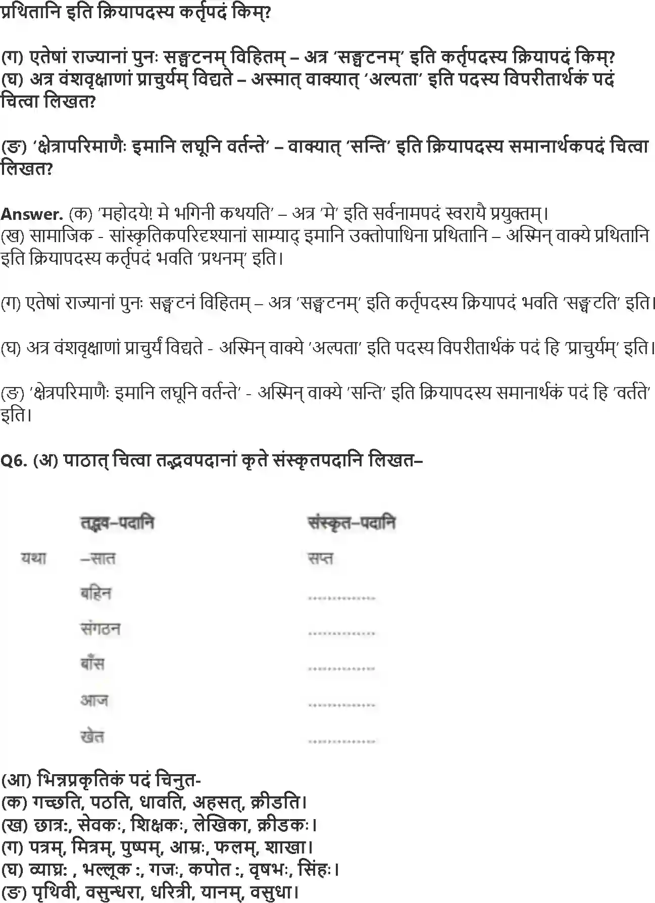 NCERT-Solution-Class-8-रुचिरा-सप्तभगिन्यः-5023-page-3