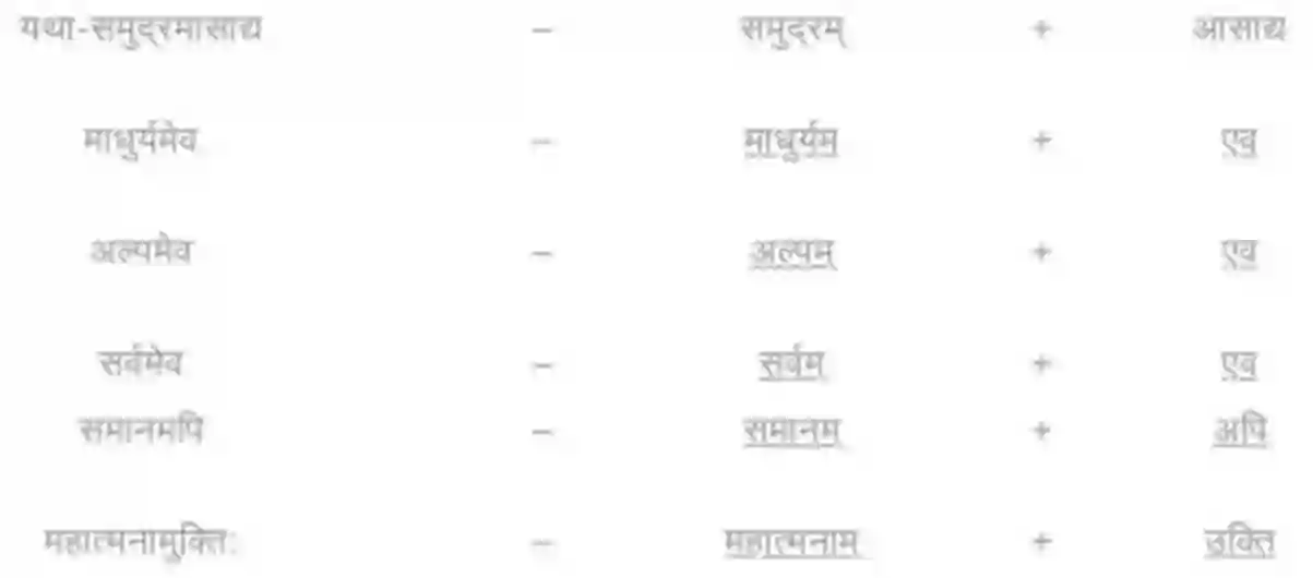 NCERT-Solution-Class-8-रुचिरा-सुभाषितानि-5015-page-4