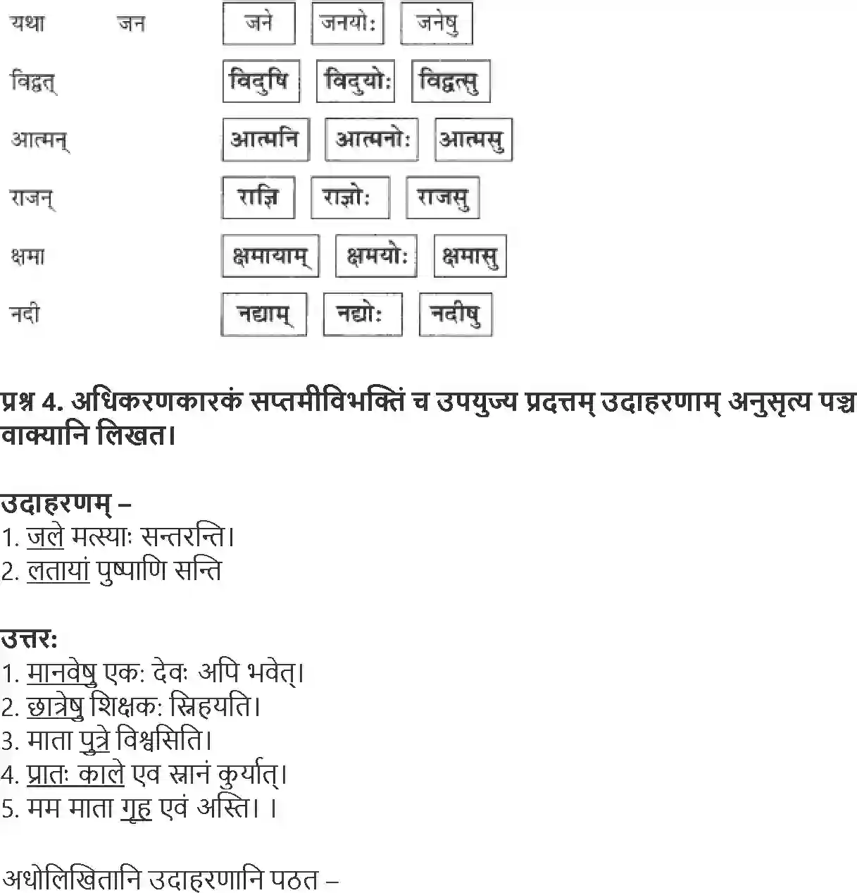 NCERT-Solution-Class-9-Abhyasvan-Bhav-Karkopapadvibhakti-1266-page-22