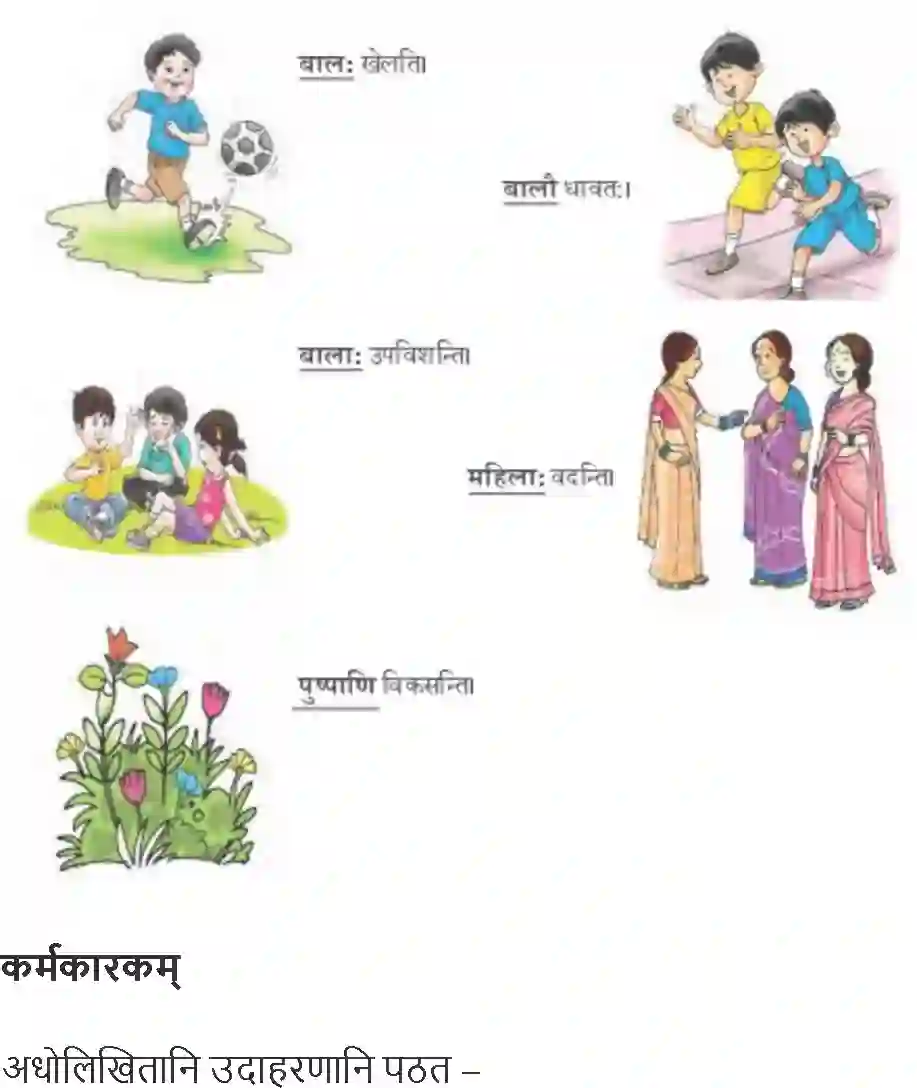 NCERT-Solution-Class-9-Abhyasvan-Bhav-Karkopapadvibhakti-1266-page-23