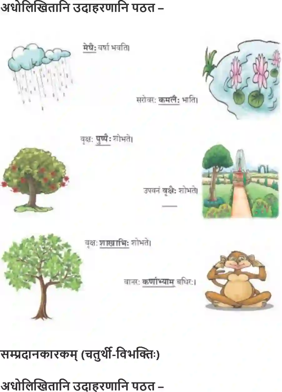 NCERT-Solution-Class-9-Abhyasvan-Bhav-Karkopapadvibhakti-1266-page-25