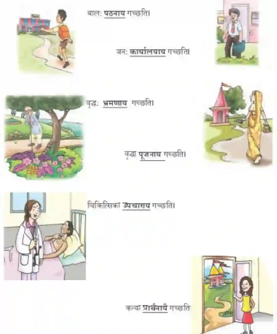 NCERT-Solution-Class-9-Abhyasvan-Bhav-Karkopapadvibhakti-1266-page-26