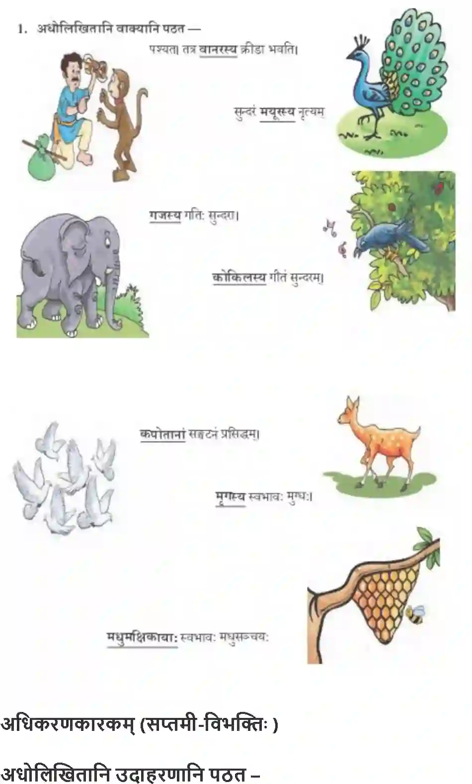NCERT-Solution-Class-9-Abhyasvan-Bhav-Karkopapadvibhakti-1266-page-29
