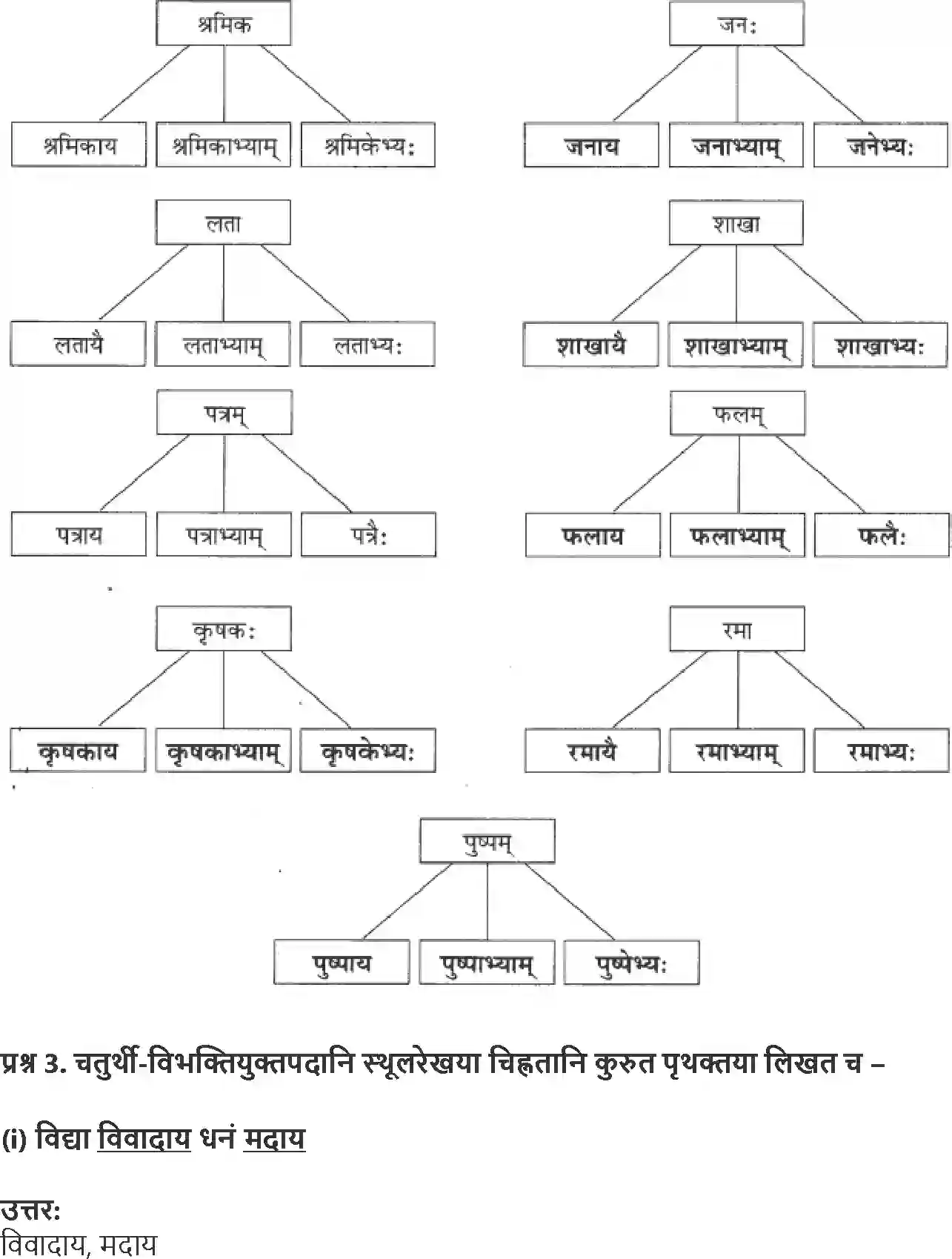 NCERT-Solution-Class-9-Abhyasvan-Bhav-Karkopapadvibhakti-3438-page-11