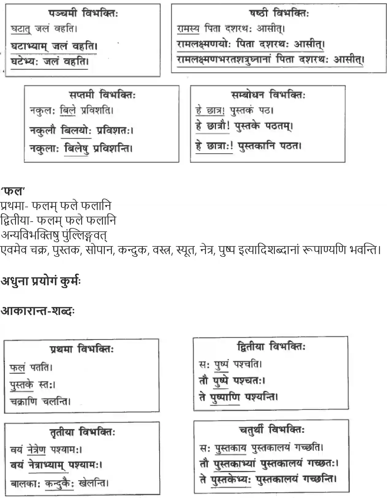 NCERT-Solution-Class-9-Abhyasvan-Bhav-Shabdrupani-1270-page-2