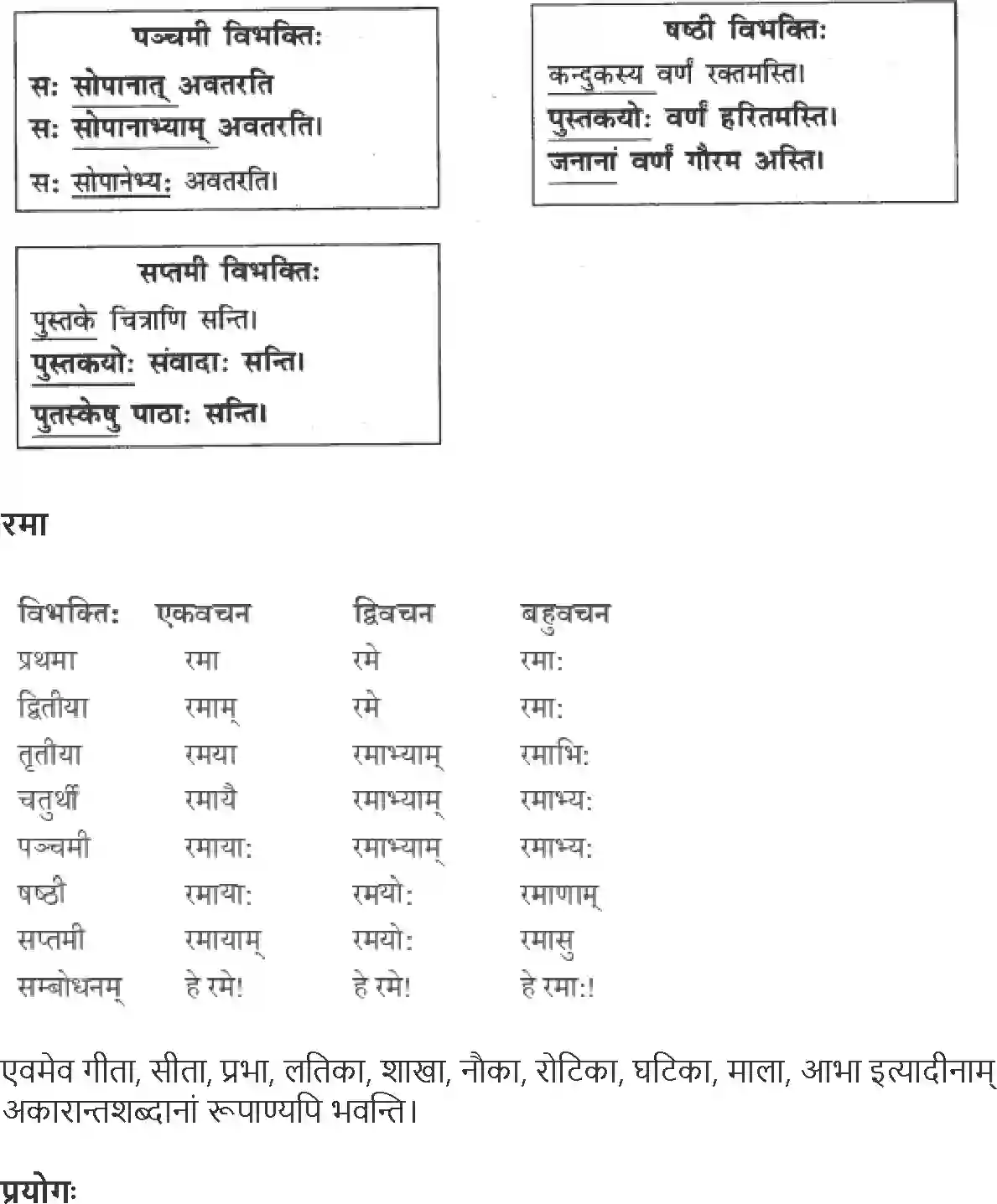 NCERT-Solution-Class-9-Abhyasvan-Bhav-Shabdrupani-1270-page-3