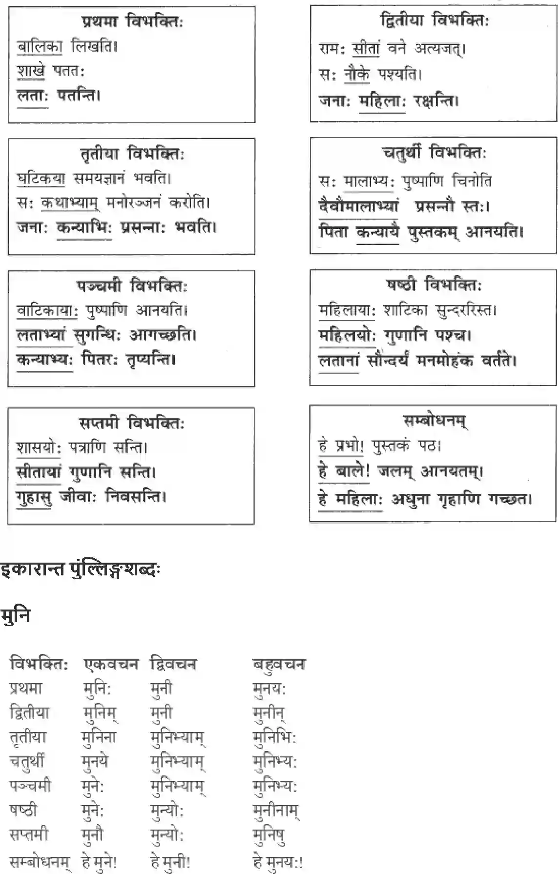 NCERT-Solution-Class-9-Abhyasvan-Bhav-Shabdrupani-1270-page-4